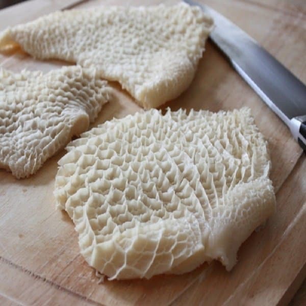 Red Snapper Fish